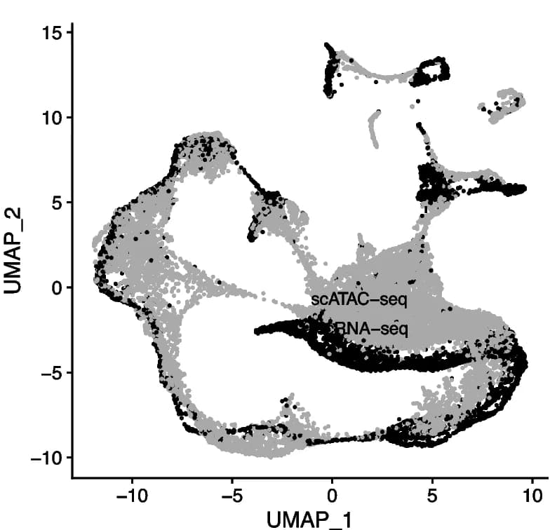 Open access visualization of UMAP, scATAC-seq, scRNA-seq, Dimensionality Reduction