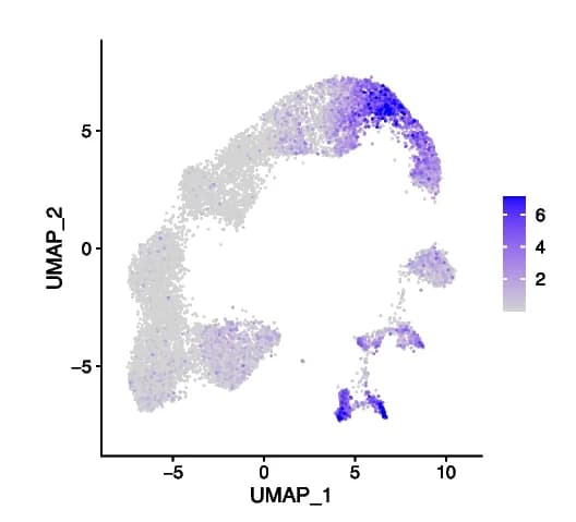 Open access visualization of UMAP, scATAC-seq, CTCF Activity, Embeddings