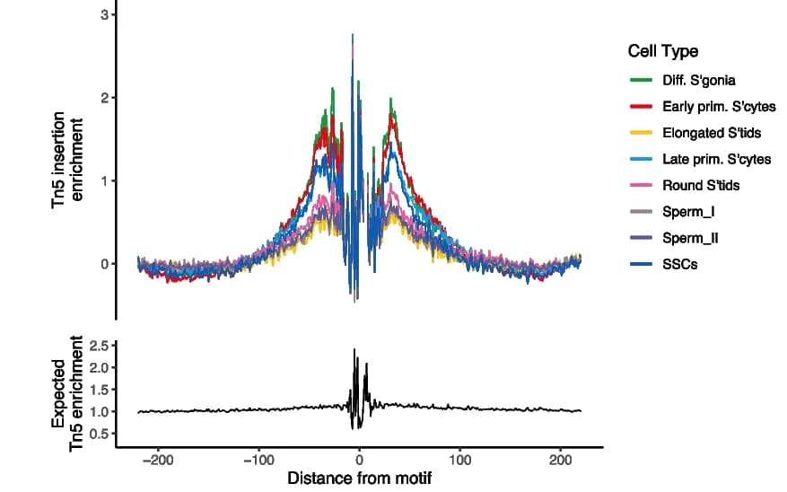 Open access visualization of Line Plot, CTCF Binding Site, Footprinting Profiles, scATAC-seq, Signac