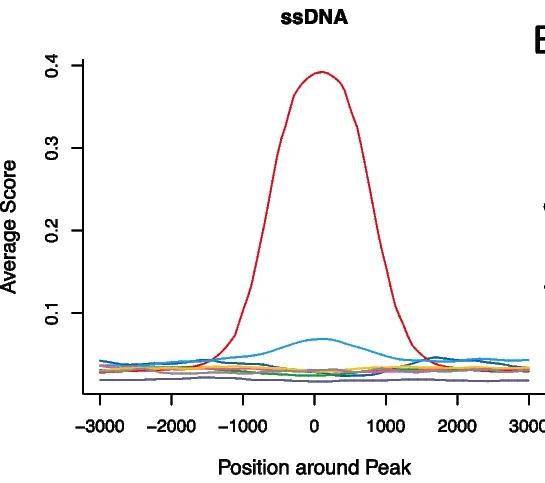 Open access visualization of Line Plot, Cell-Type Specific Peaks, ssDNA Overlap, Genomation Package, R