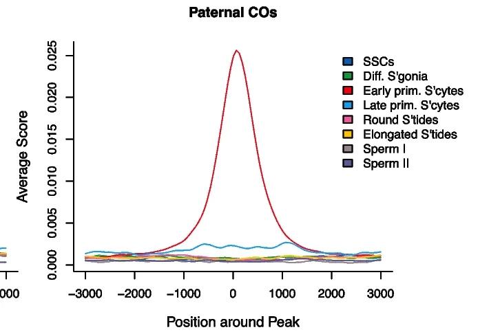 Open access visualization of Line Plot, Cell-Type Specific Peaks, Paternal Cross-Over Activity, Genomation Package, R