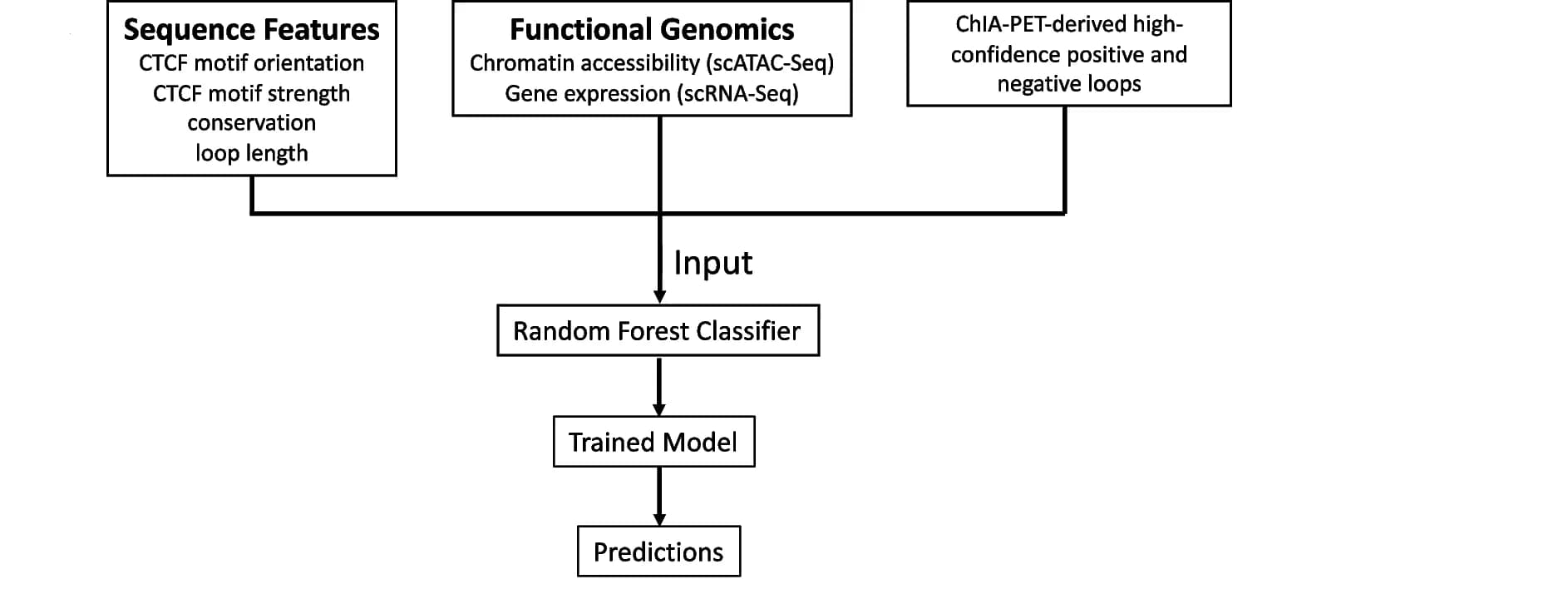 Open access visualization of Workflow, Flowchart, Pipeline, Random Forest Classifier, scRNA-seq