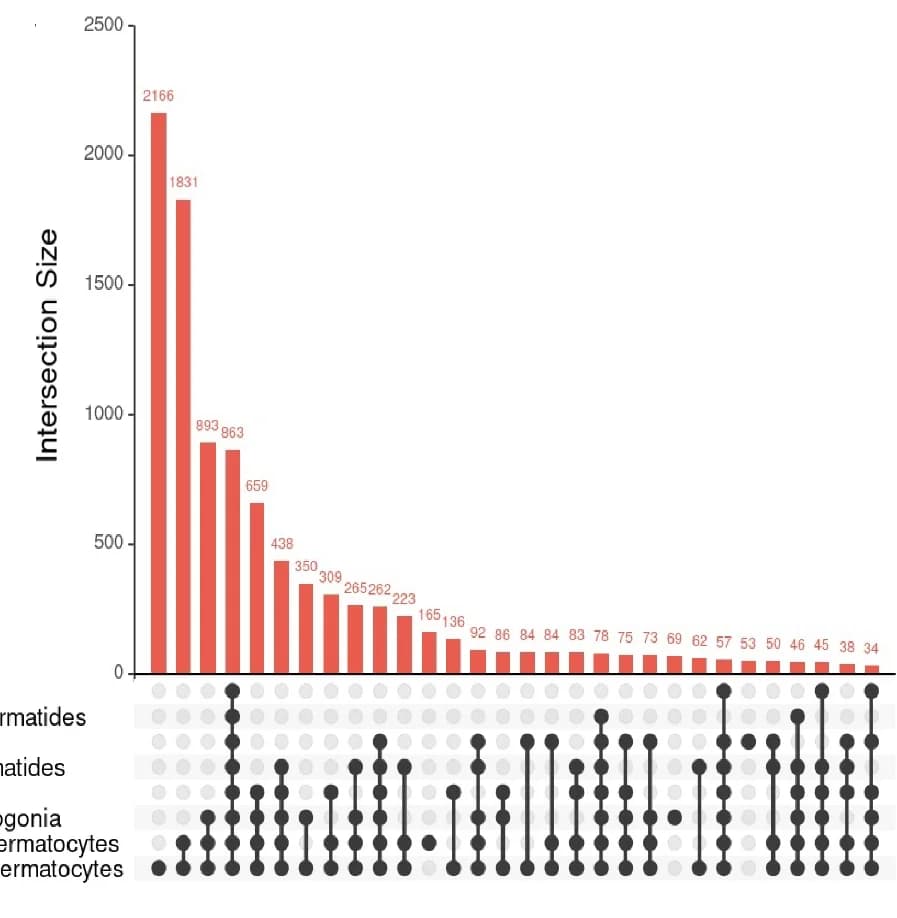 Open access visualization of Bar Plot, UpSet, Upset Plot, Predicted Loops, Cell State