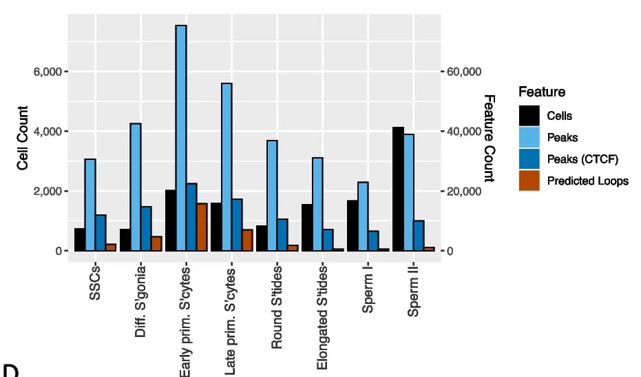 Open access visualization of Bar Plot, Clustered, scATAC-seq, Cell State, Peaks