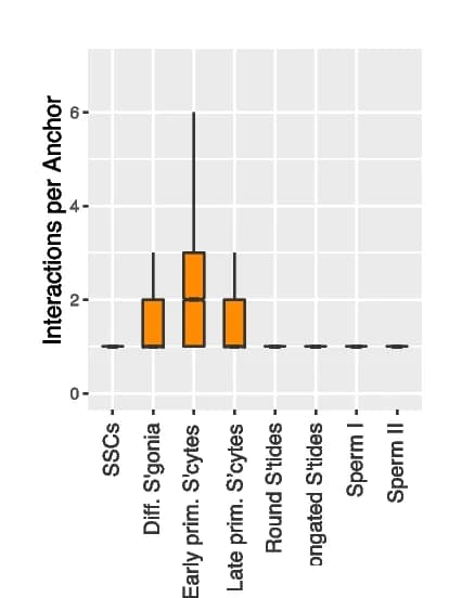 Open access visualization of Box Plot, Interacting Anchors, CTCF Anchors, Boxplots