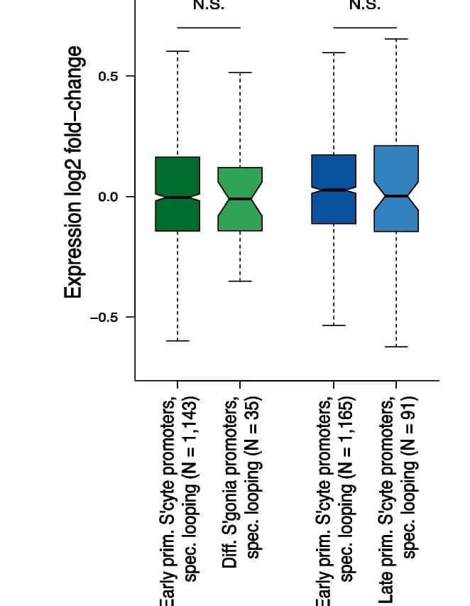 Open access visualization of Box Plot, Gene Activation, Spermatocytes, Gene Expression, Promoters