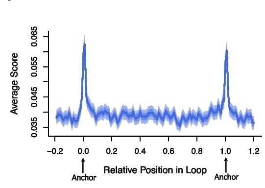 Open access visualization of Line Plot, Error Bars, ssDNA Hotspots, Paternal Crossing Over Events, East Asian Ancestry Haplotype Blocks