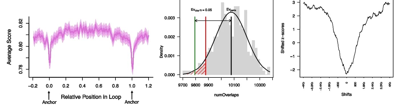 Open access visualization of Line Plot, Error Bars, Histogram, Density Plot, ssDNA Hotspots