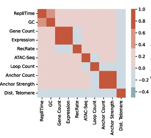 Open access visualization of Heatmap, Spearman’s Correlation Coefficient, Genomic Features, Genomic Bins