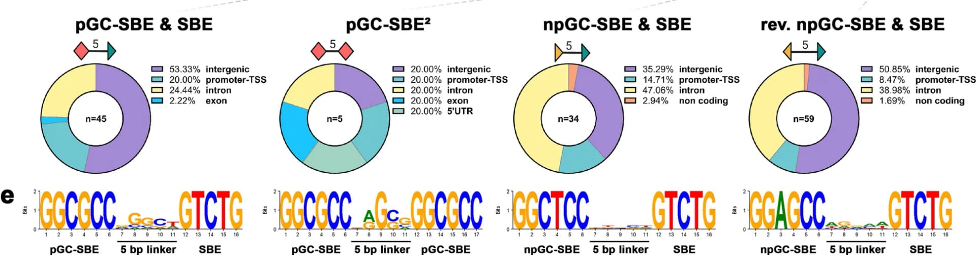 Open access visualization of Donut Chart, SMAD Composite Motifs, SMAD1-bound Regions, Genomic Regions, Homer Gene Annotation