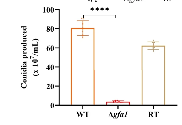 Open access visualization of Bar Plot, Error Bars, Conidia, Hemocytometer, Statistical Significance