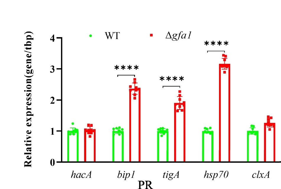 Open access visualization of Bar Plot, Error Bars, PR Conditions, qRT-PCR Analysis, ER Stress Response Genes