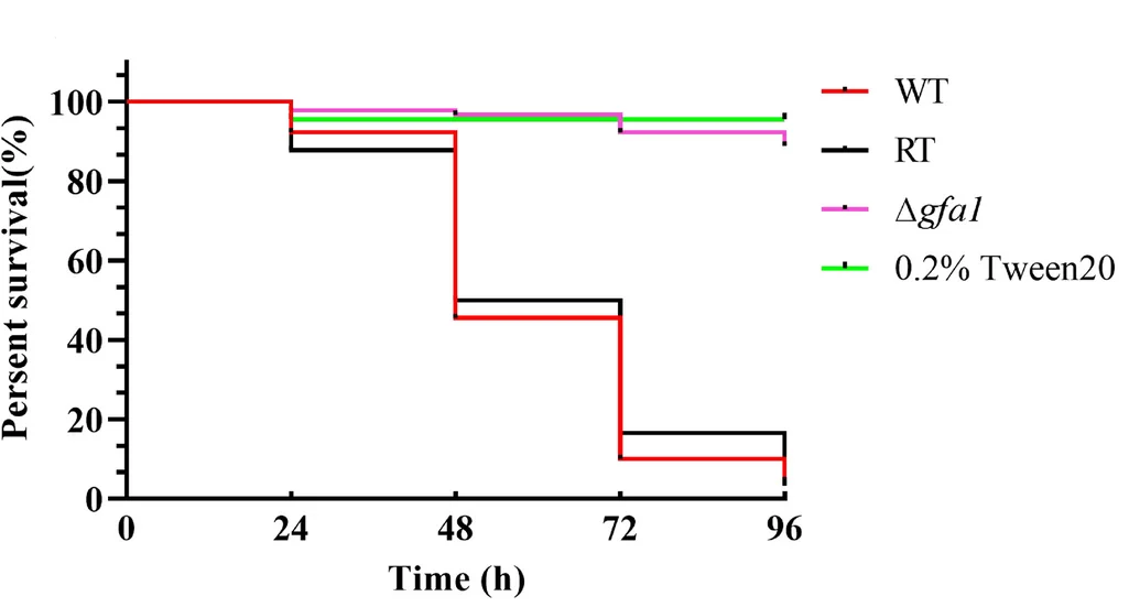 Open access visualization of Line Step, Survival Curve, KaplanMeier Survival Plot, G. Mellonella Larvae, Conidia