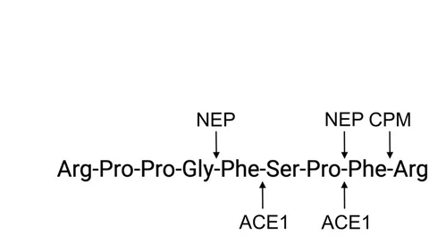 Open access visualization of Illustration, Chemical Structure, BK, Cleavage Sites, CPM