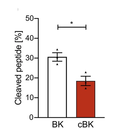 Open access visualization of Bar Plot, Error Bars, BK, cBK, CPM