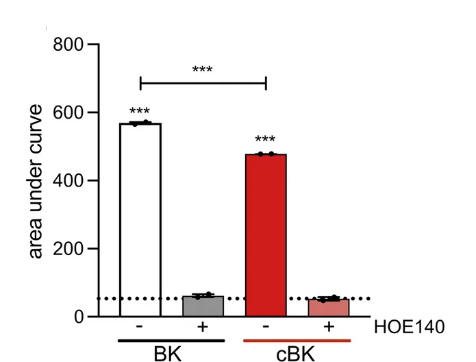 Open access visualization of Bar Plot, Error Bars, Cell Response, BK, cBK