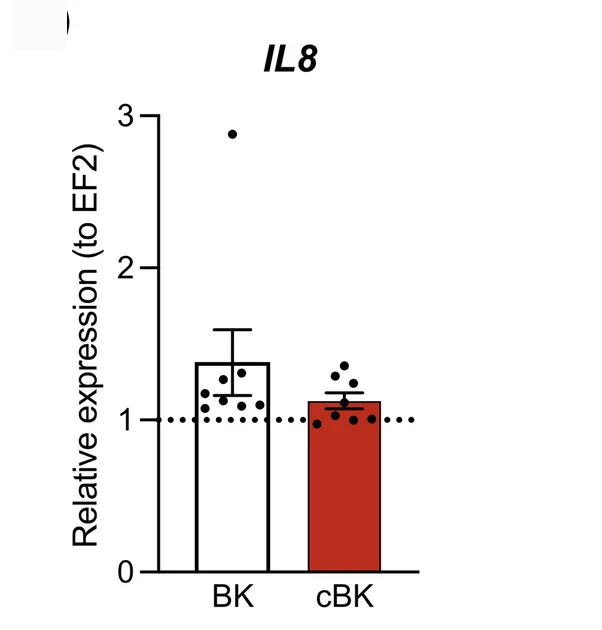 Open access visualization of Bar Plot, Error Bars, mRNA, IL8, qRT-PCR