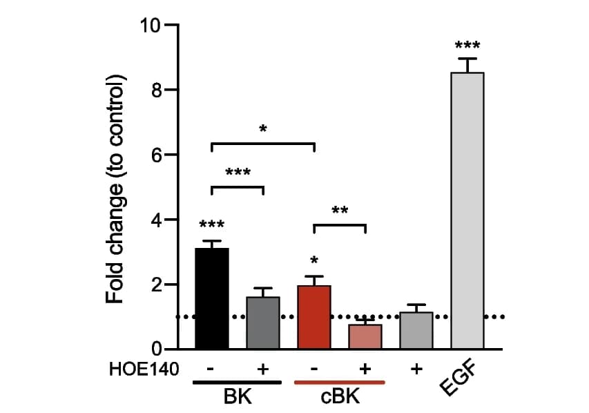 Open access visualization of Bar Plot, Error Bars, Cell Migration, Peptides, Biological Replicates