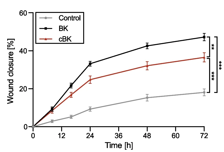 Open access visualization of Line Plot, Error Bars, Cell Migration Kinetics, Wound Closure, BK
