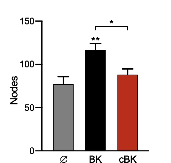 Open access visualization of Bar Plot, Error Bars, CFSE Staining, HBEC-5i Cells, FBS