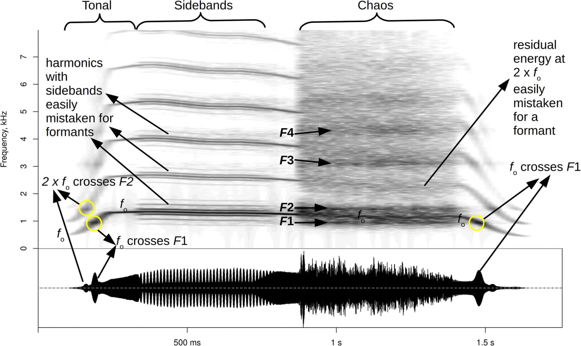 Open access visualization of Spectrogram, Line Plot, Formant Tracking, High-Pitched Vocalizations, Formant Structure