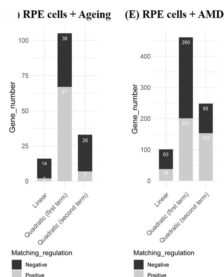 Open access visualization of Stacked Bar Plot, Gene Expression, RPE Cell Cultures, Aging