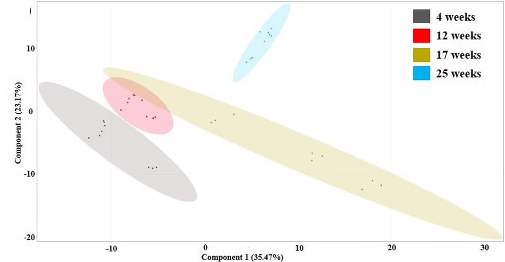 Open access visualization of Scatter Plot, PCA, PCA model, RPE Cells, LC-MS Analysis