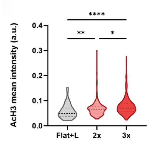 Open access visualization of Violin Plot, Histone Acetylation, Dynamic Topographies, Control Conditions