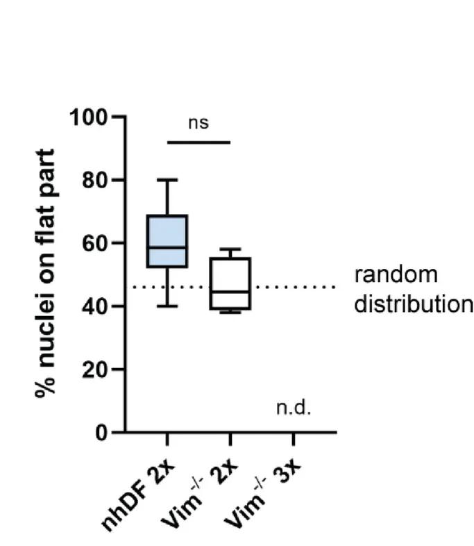 Open access visualization of Box Plot, Human Dermal Fibroblasts, Fibroblast Nuclei, Hydrogel, Nuclei Distribution