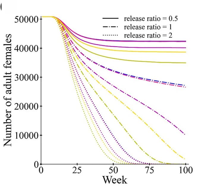 Open access visualization of Line Plot, SIT, Medflies, Release Ratio, Female Population