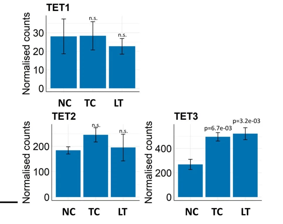 Open access visualization of Bar Plot, Error Bars, RNA-seq, TET Transcripts, Normal Colon