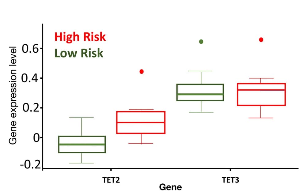 Open access visualization of Box Plot, TET2, TET3, Gene Expression, Metastasis