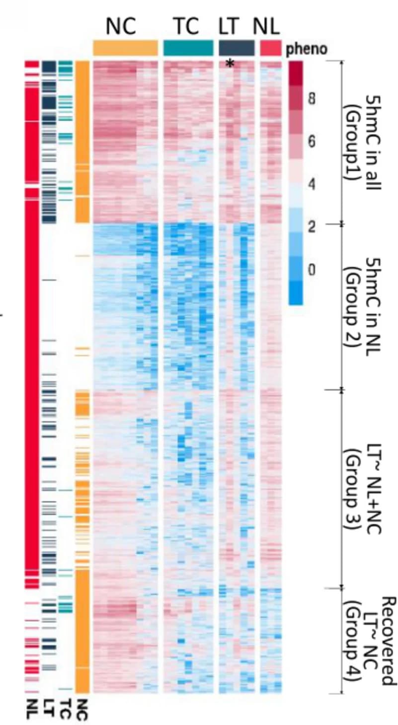 Open access visualization of Heatmap, Clustered, 5hmC Profiles, CRC Tumor Progression, Normal Liver