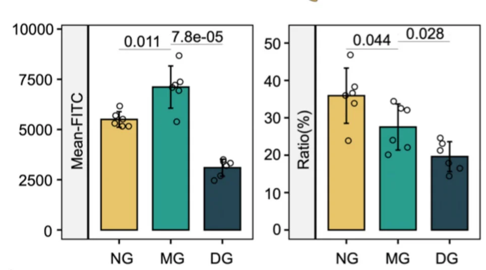 Open access visualization of Bar Plot, Error Bars, Scatter Plot, Mito-Tracker Green, Fluorescence