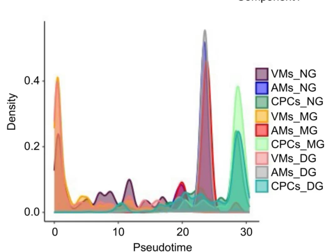 Open access visualization of Density Plot, Line Plot, AMs, VMs, CPCs