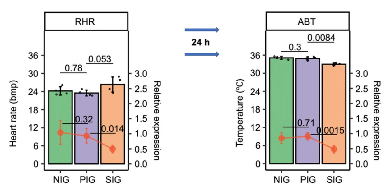 Open access visualization of Bar Plot, Error Bars, Line Plot, HR, ABT