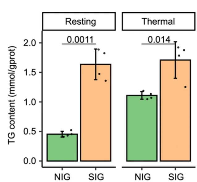 Open access visualization of Bar Plot, Error Bars, Clustered, TG Content, NIG
