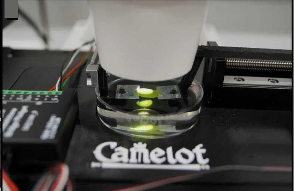 Open access visualization of Photo, Sample, Force Sensor, Confocal Microscope Objective, Petri Dish
