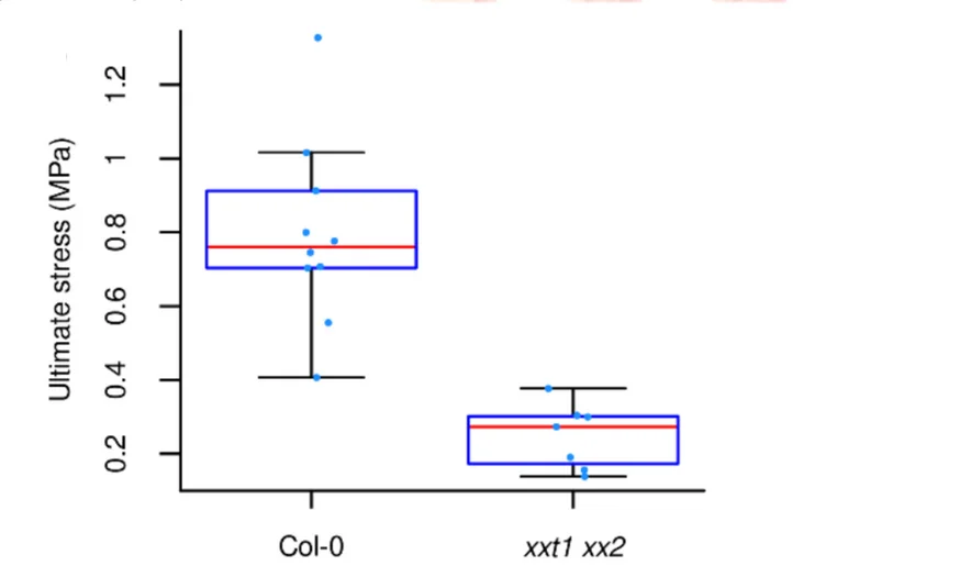 Open access visualization of Box Plot, Scatter Plot, Ultimate Stress, Col-0, xxt1 xxt2
