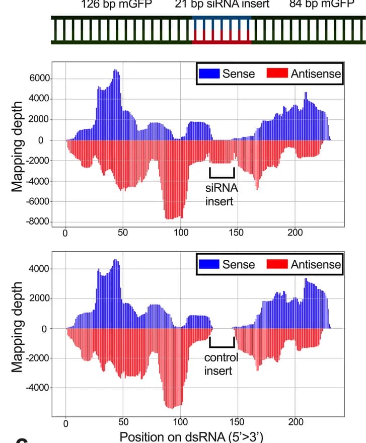 Open access visualization of Bar Plot, Stacked Bar Plot, Line Plot, siRNA, dsRNA