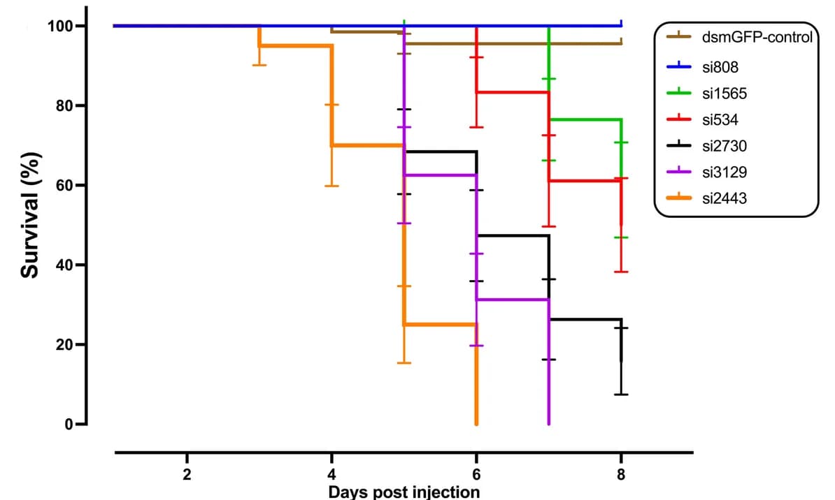 Open access visualization of Survival Curve, Line Step, Error Bars, Larvae, dsRNA