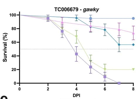 Open access visualization of Line Plot, Error Bars, Survival Curve, dsRNA, Insecticidal Efficacy