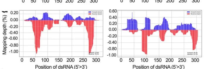 Open access visualization of Bar Plot, dsRNA, siRNA, Essential Genes, RISC