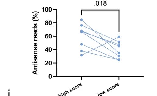 Open access visualization of Line Plot, Scatter Plot, Statistical Test, dsRNAs, siRNA