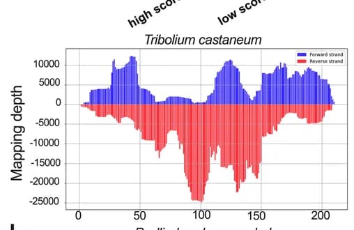 Open access visualization of Bar Plot, Stacked Bar Plot, Line Plot, siRNA, Beetles