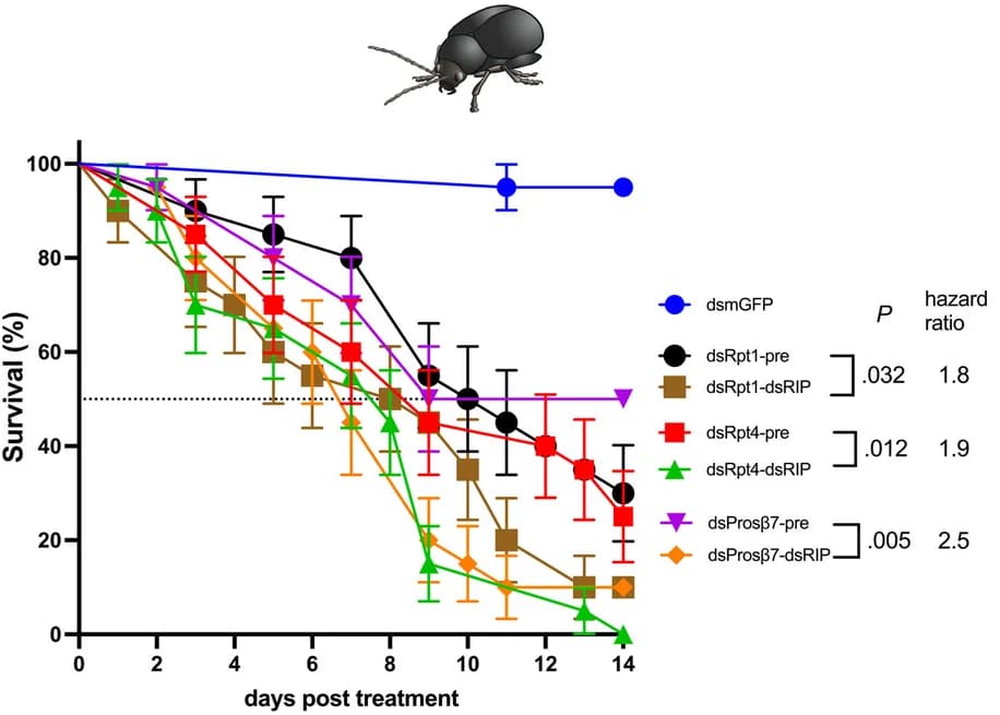 Open access visualization of Line Plot, Error Bars, Survival Curve, P. chrysocephala, dsRNA