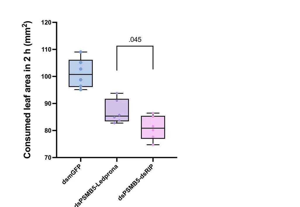 Open access visualization of Box Plot, Scatter Plot, L. decemlineata, L3 Larvae, dsRNA