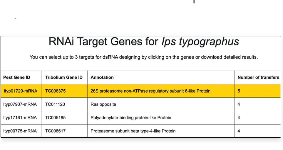 Open access visualization of Table Image, RNAi, Target Genes, dsRIP, Ips typographus