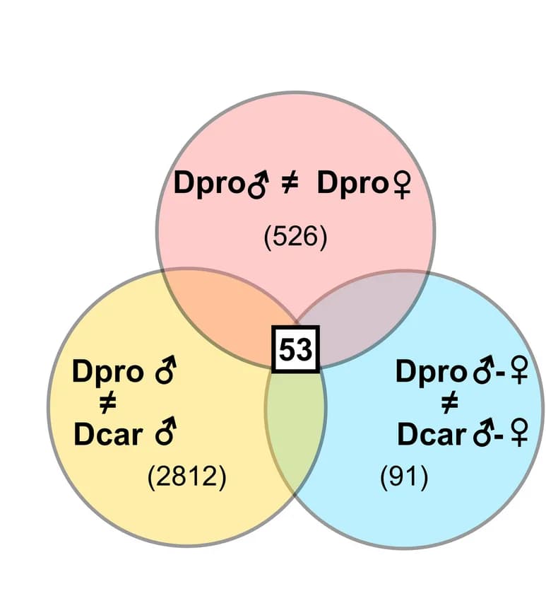 Open access visualization of Venn Diagram, Candidate Gene, Gene Selection, Differentially Expressed Genes, FDR