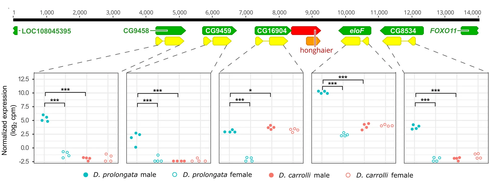 Open access visualization of Scatter Plot, Illustration, Elongases, Gene Expression, RNA-Seq
